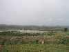 Hilltop