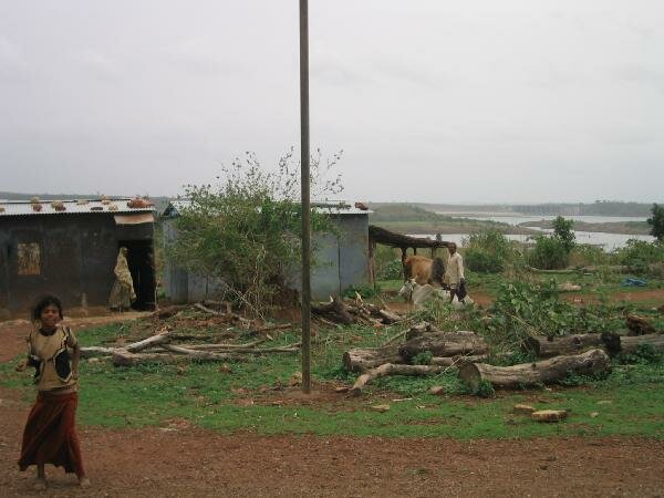 tin sheds