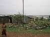 tin sheds