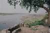 Mardana