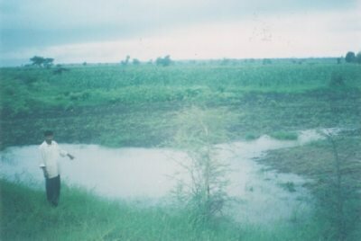 Waterlogging